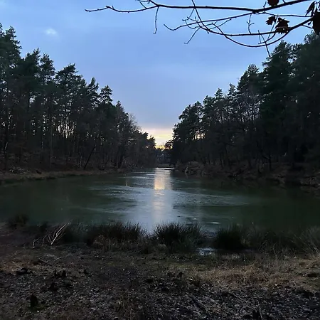 Im Wald Am - Biberspur *