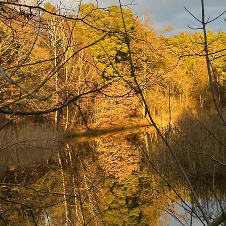 Im Wald Am - Biberspur * Zieko