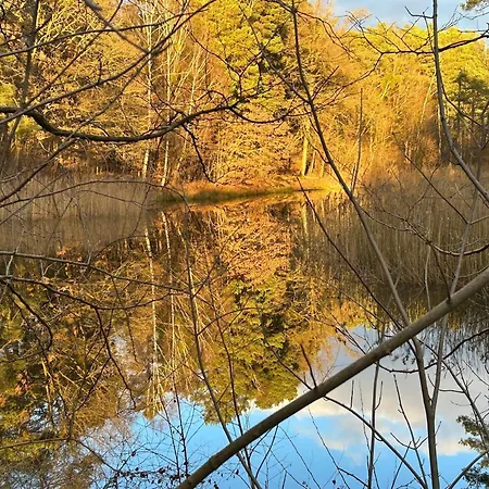 Im Wald Am - Biberspur Zieko