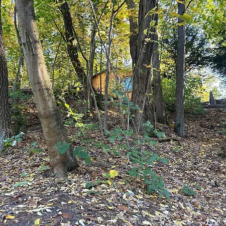 Im Wald Am - Biberspur Feriehus