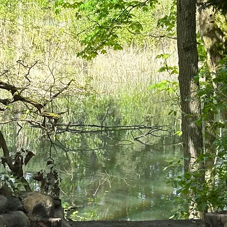 Im Wald Am - Biberspur Feriehus Zieko