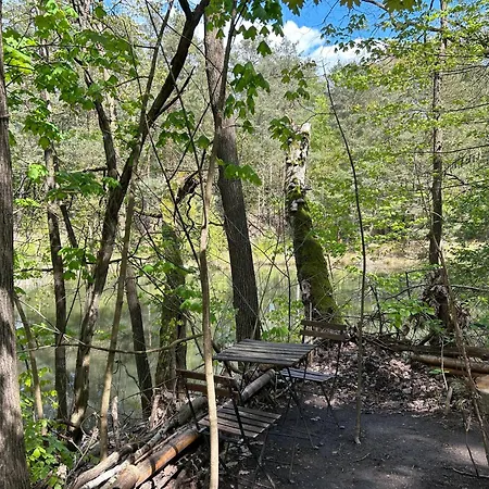 Im Wald Am - Biberspur Feriehus