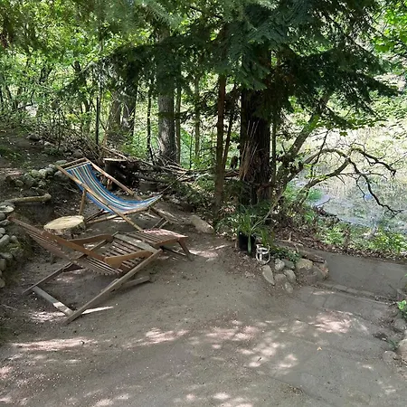Im Wald Am - Biberspur Zieko