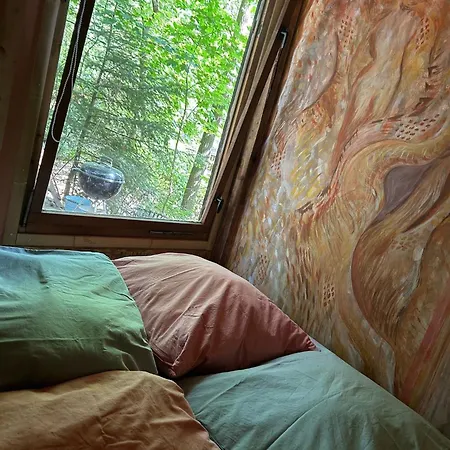 Feriehus Im Wald Am - Biberspur