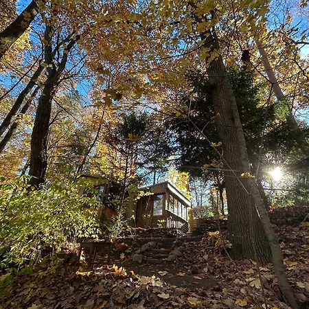 Im Wald Am - Biberspur Zieko