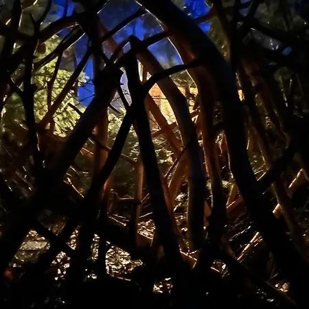 Im Wald Am - Biberspur Feriehus