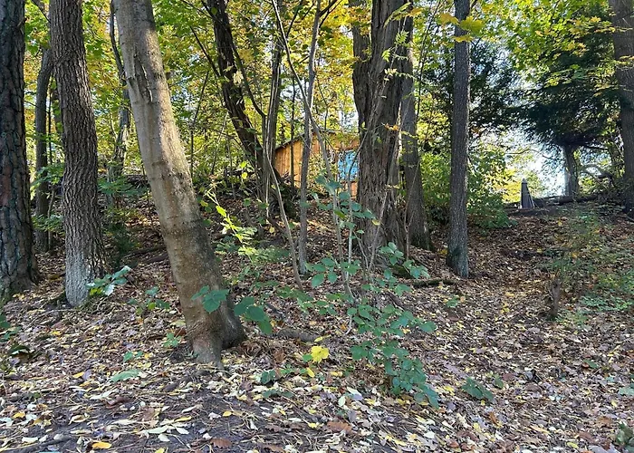 Im Wald Am - Biberspur Сasa de vacaciones