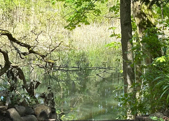 Im Wald Am - Biberspur Сasa de vacaciones Zieko