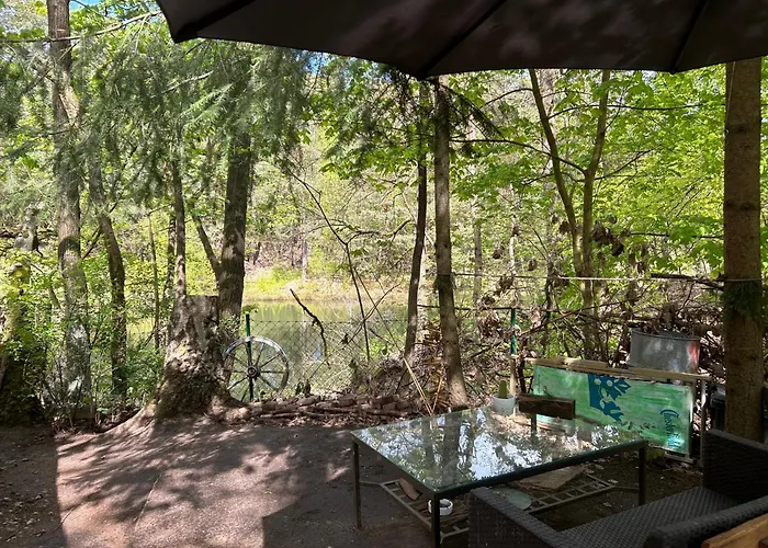 Im Wald Am - Biberspur *