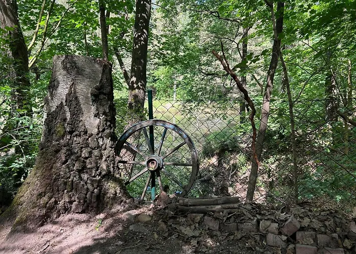 Im Wald Am - Biberspur *