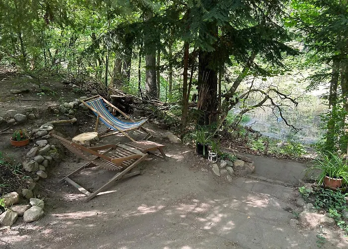 Im Wald Am - Biberspur Zieko