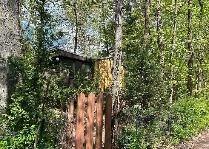 Im Wald Am - Biberspur * Zieko