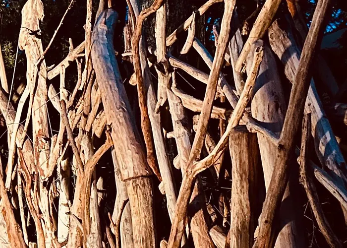 Сasa de vacaciones Im Wald Am - Biberspur *