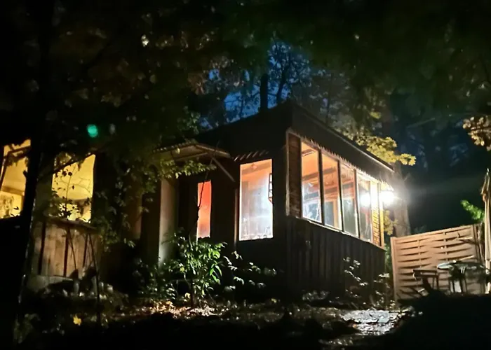 Im Wald Am - Biberspur * Zieko