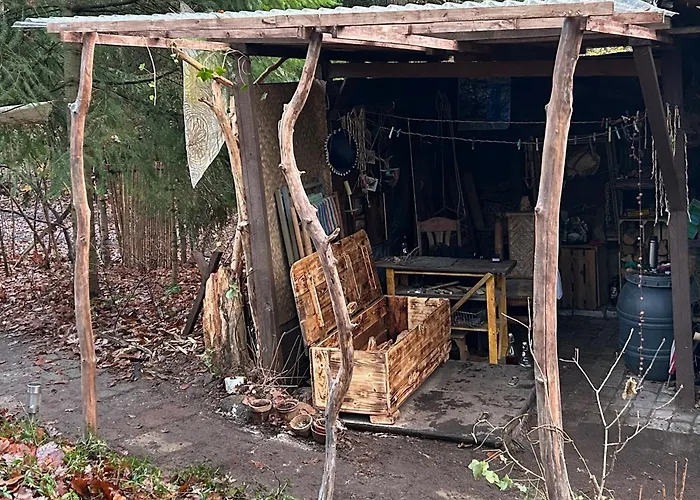 Im Wald Am - Biberspur